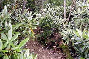 ����R���`�ؑ��R�`�b���M���� | �������c��