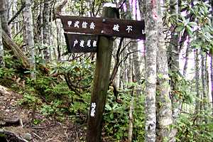 ����R���`�ؑ��R�`�b���M���� | �������c��