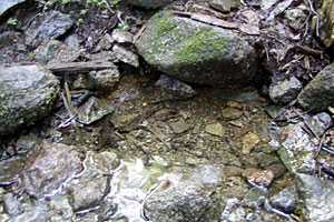 �b���M�����`�b���M�x�`��Ȑ�M�Z�쐅���`���t�x�`�k�����x�`��o�� | �������c��