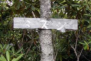 �b���M�����`�b���M�x�`��Ȑ�M�Z�쐅���`���t�x�`�k�����x�`��o�� | �������c��