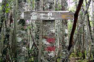 �b���M�����`�b���M�x�`��Ȑ�M�Z�쐅���`���t�x�`�k�����x�`��o�� | �������c��