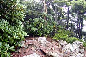 �b���M�����`�b���M�x�`��Ȑ�M�Z�쐅���`���t�x�`�k�����x�`��o�� | �������c��