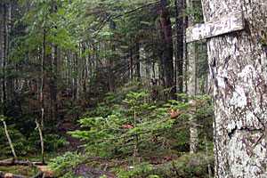 �b���M�����`�b���M�x�`��Ȑ�M�Z�쐅���`���t�x�`�k�����x�`��o�� | �������c��