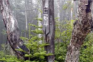 �b���M�����`�b���M�x�`��Ȑ�M�Z�쐅���`���t�x�`�k�����x�`��o�� | �������c��