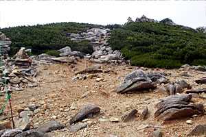 ��o���`�����x�`����R�`��������`�x�m���������`��୎R���`���R�R�� | �������c��