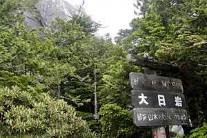 ��o���`�����x�`����R�`��������`�x�m���������`��୎R���`���R�R�� | �������c��