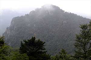 ��o���`�����x�`����R�`��������`�x�m���������`��୎R���`���R�R�� | �������c��