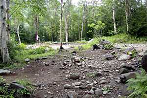 ��o���`�����x�`����R�`��������`�x�m���������`��୎R���`���R�R�� | �������c��