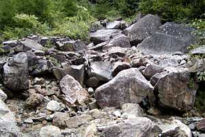 ��୎R���`�x�m���������`��୎R | �������c��