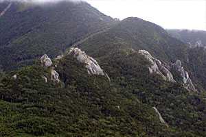 ��୎R���`�x�m���������`��୎R | �������c��