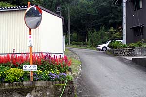 �z�O���w�`���o�R�[�X�`�r���x�`�����R�[�X�`�����w | �r���x���o�����n�C�L���O