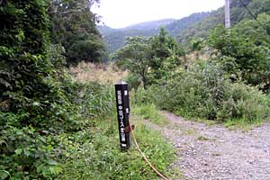 �z�O���w�`���o�R�[�X�`�r���x�`�����R�[�X�`�����w | �r���x���o�����n�C�L���O