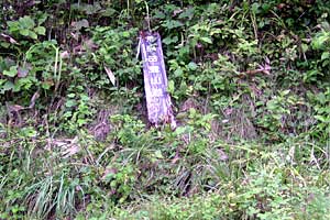 �z�O���w�`���o�R�[�X�`�r���x�`�����R�[�X�`�����w | �r���x���o�����n�C�L���O