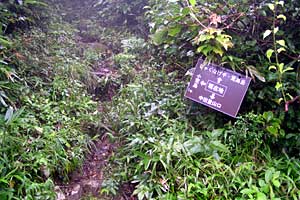 �z�O���w�`���o�R�[�X�`�r���x�`�����R�[�X�`�����w | �r���x���o�����n�C�L���O