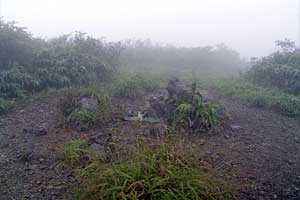 �z�O���w�`���o�R�[�X�`�r���x�`�����R�[�X�`�����w | �r���x���o�����n�C�L���O