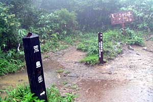 �z�O���w�`���o�R�[�X�`�r���x�`�����R�[�X�`�����w | �r���x���o�����n�C�L���O