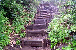 �z�O���w�`���o�R�[�X�`�r���x�`�����R�[�X�`�����w | �r���x���o�����n�C�L���O