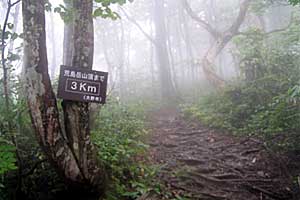 �z�O���w�`���o�R�[�X�`�r���x�`�����R�[�X�`�����w | �r���x���o�����n�C�L���O