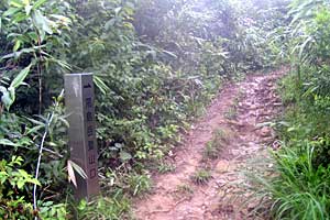 �z�O���w�`���o�R�[�X�`�r���x�`�����R�[�X�`�����w | �r���x���o�����n�C�L���O