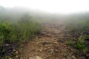 �z�O���w�`���o�R�[�X�`�r���x�`�����R�[�X�`�����w | �r���x���o�����n�C�L���O