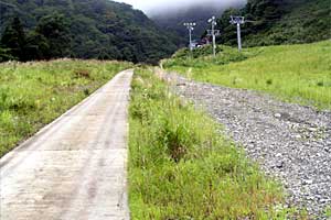 �z�O���w�`���o�R�[�X�`�r���x�`�����R�[�X�`�����w | �r���x���o�����n�C�L���O