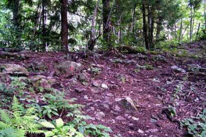 �����كN�����J�o�R���`�}���x�R�� | �k�A�}���x�N�����J�o�R