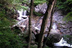 �����كN�����J�o�R���`�}���x�R�� | �k�A�}���x�N�����J�o�R