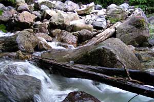 �����كN�����J�o�R���`�}���x�R�� | �k�A�}���x�N�����J�o�R