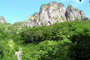 �����كN�����J�o�R���`�}���x�R�� | �k�A�}���x�N�����J�o�R