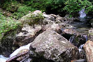 �����كN�����J�o�R���`�}���x�R�� | �k�A�}���x�N�����J�o�R