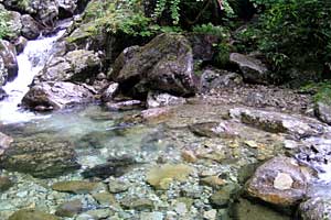 �����كN�����J�o�R���`�}���x�R�� | �k�A�}���x�N�����J�o�R