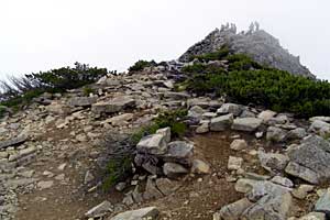 �}���x�`�}���x�R�� | �k�A�}���x�N�����J�o�R