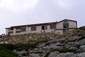 �}���x�`�}���x�R�� | �k�A�}���x�N�����J�o�R