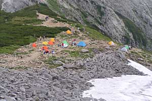 �}���x�`�}���x�R�� | �k�A�}���x�N�����J�o�R