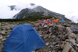 �}���x�`�}���x�R�� | �k�A�}���x�N�����J�o�R