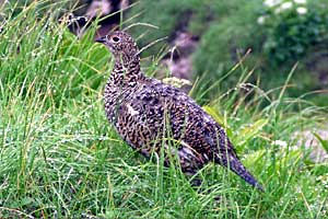 �}���x�R���`���ˊx�`�|�܊x�`�������`�o�Z���� | �k�A�}���x�N�����J�o�R