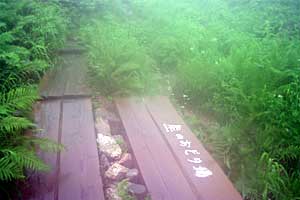 �o�Z�����`�����R���`������`�킳�ѕ������`�V�䍂���� | �k�A�}���x�N�����J�o�R