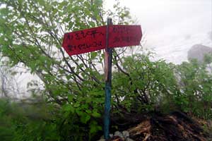 �o�Z�����`�����R���`������`�킳�ѕ������`�V�䍂���� | �k�A�}���x�N�����J�o�R