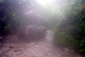 �o�Z�����`�����R���`������`�킳�ѕ������`�V�䍂���� | �k�A�}���x�N�����J�o�R