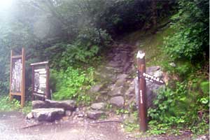 �o�Z�����`�����R���`������`�킳�ѕ������`�V�䍂���� | �k�A�}���x�N�����J�o�R