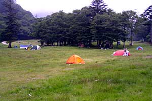 ��������`���������X�L�[��`�O�����R | ���������R�n�C�L���O