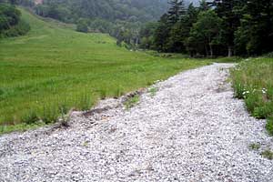 ��������`���������X�L�[��`�O�����R | ���������R�n�C�L���O