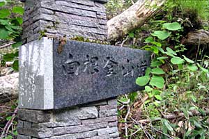 ��������`���������X�L�[��`�O�����R | ���������R�n�C�L���O