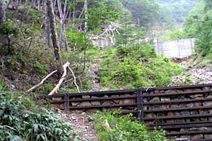 ��������`���������X�L�[��`�O�����R | ���������R�n�C�L���O