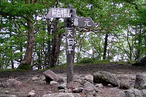 ��������`���������X�L�[��`�O�����R | ���������R�n�C�L���O