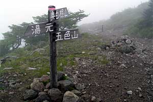 �O�����R�`�����`�������R�`��Ƀ��r�`�ܐF�� | ���������R�n�C�L���O