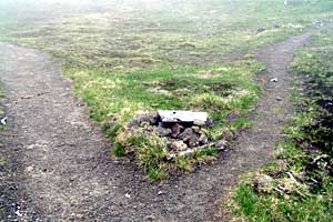 �O�����R�`�����`�������R�`��Ƀ��r�`�ܐF�� | ���������R�n�C�L���O