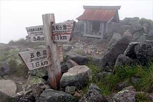 �O�����R�`�����`�������R�`��Ƀ��r�`�ܐF�� | ���������R�n�C�L���O