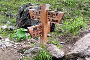 �O�����R�`�����`�������R�`��Ƀ��r�`�ܐF�� | ���������R�n�C�L���O