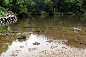 �O�����R�`�����`�������R�`��Ƀ��r�`�ܐF�� | ���������R�n�C�L���O